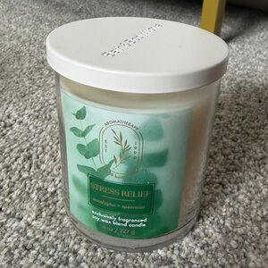 Bath & Body Works Stress Relief Eucalyptus & Spearmint Single Wick Candle